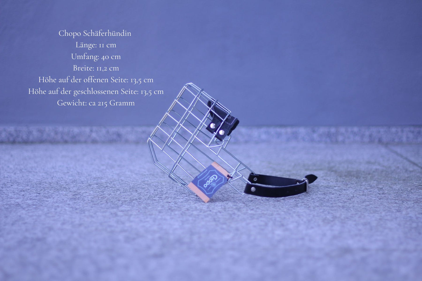 Maulkorbmodelle
