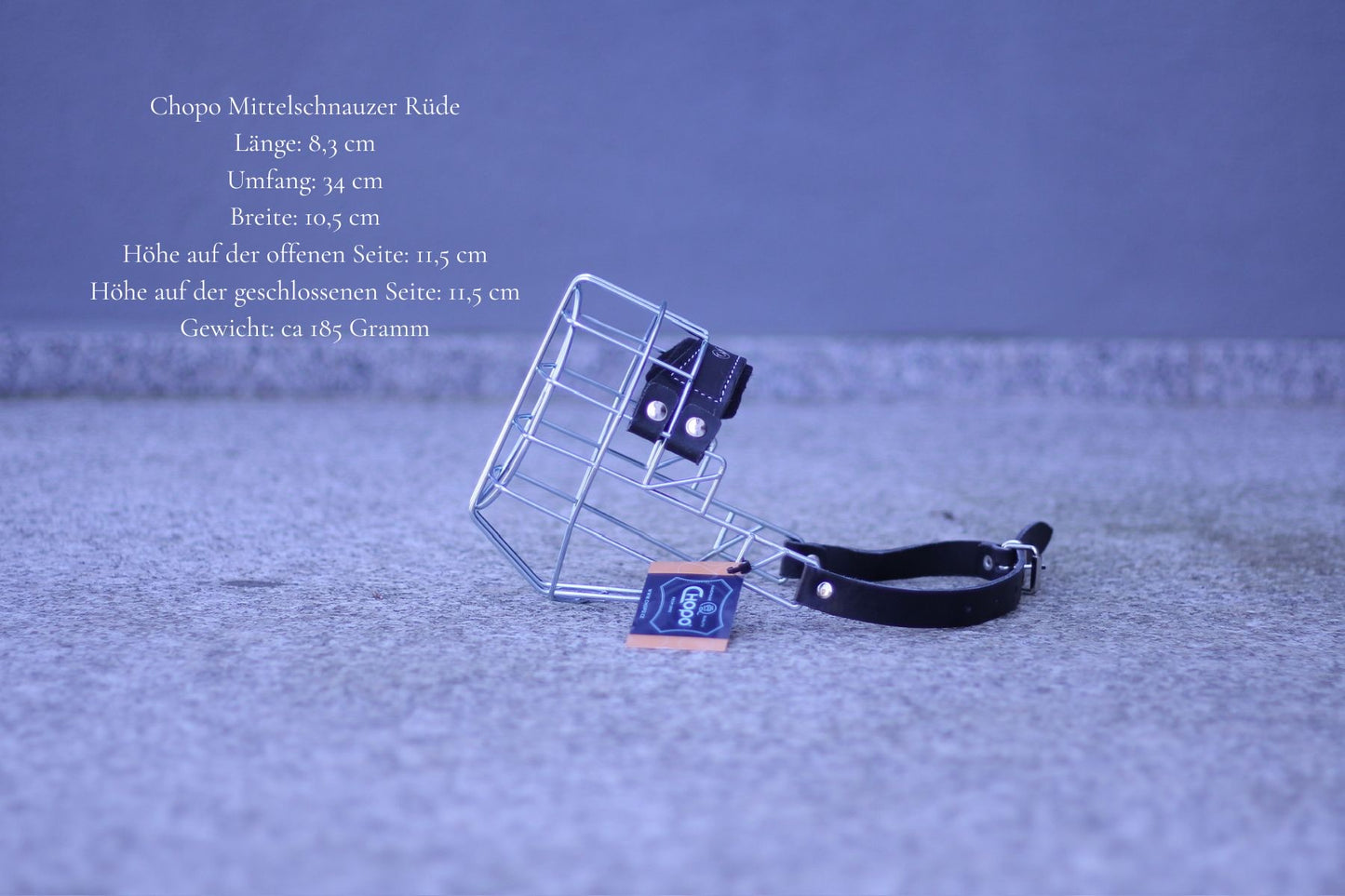 Maulkorbmodelle