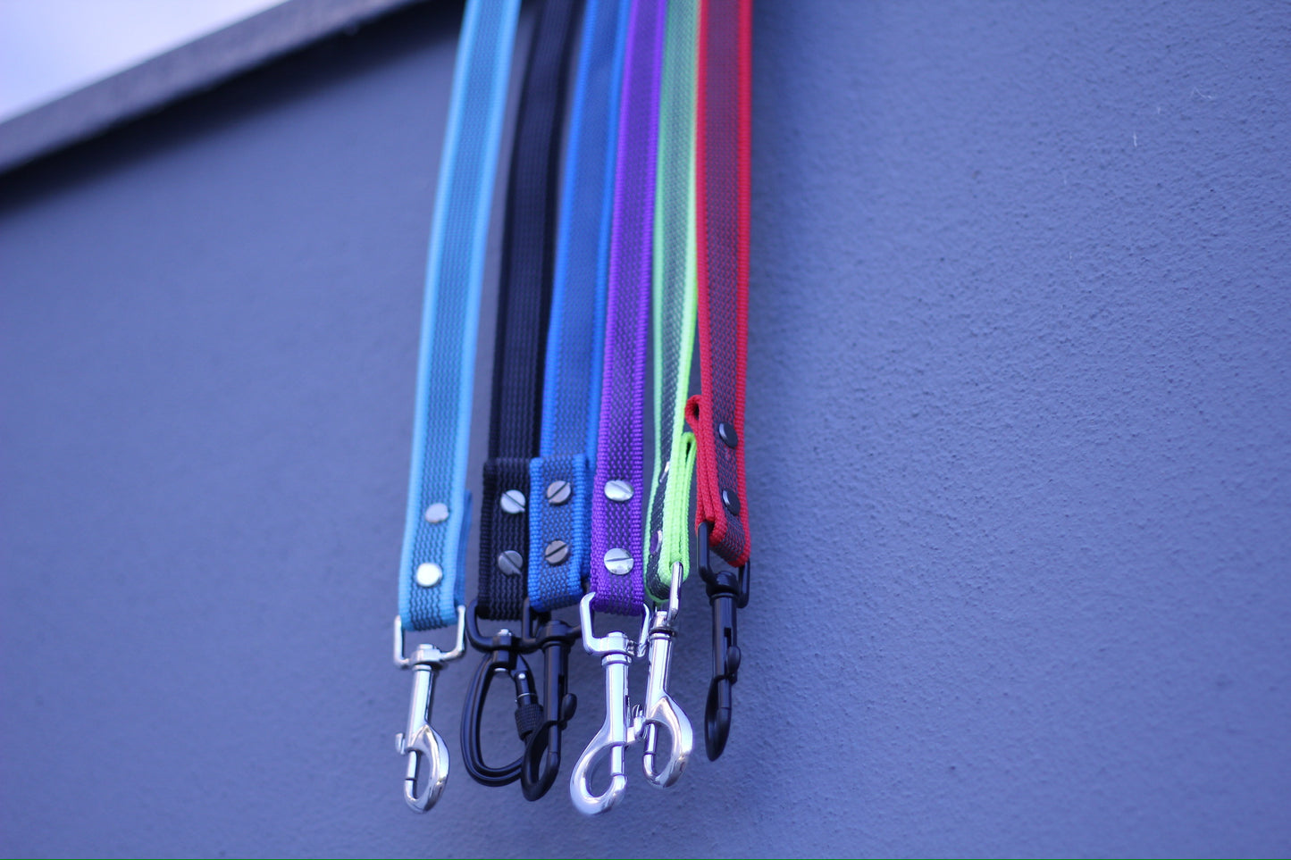 Rubberized leash