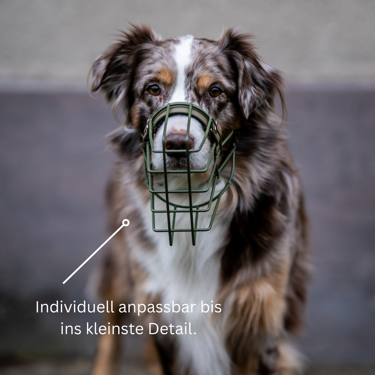 Muzzle advice