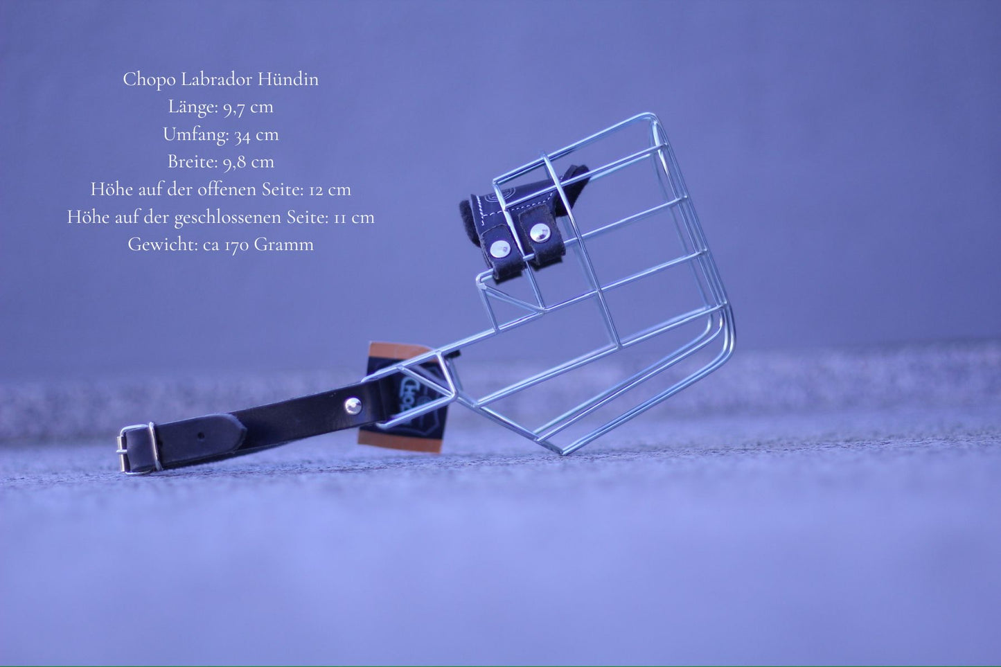 Maulkorbmodelle