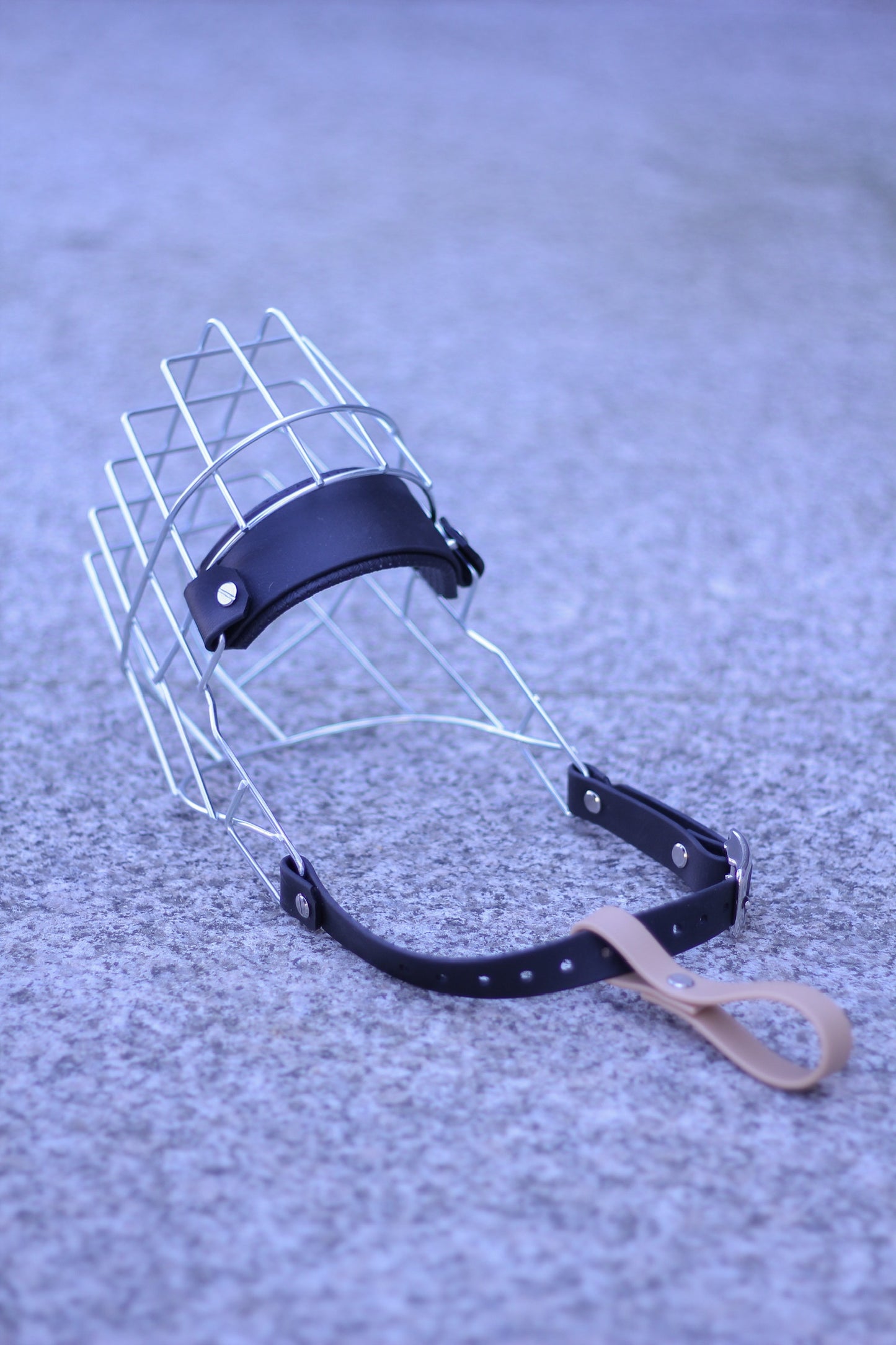 Safety link