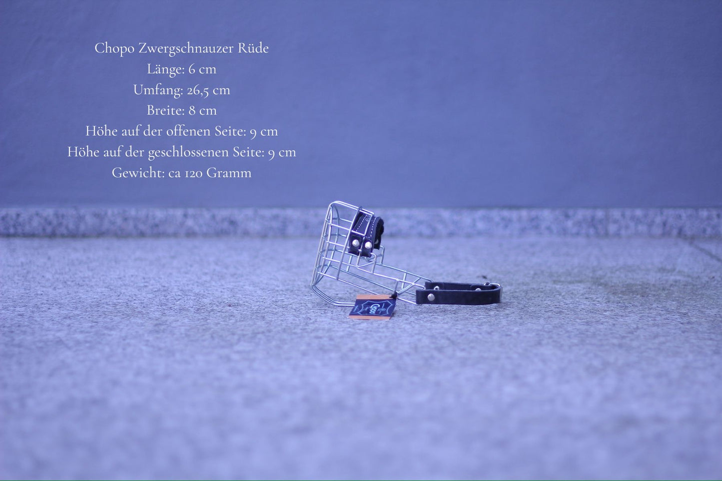 Maulkorbmodelle