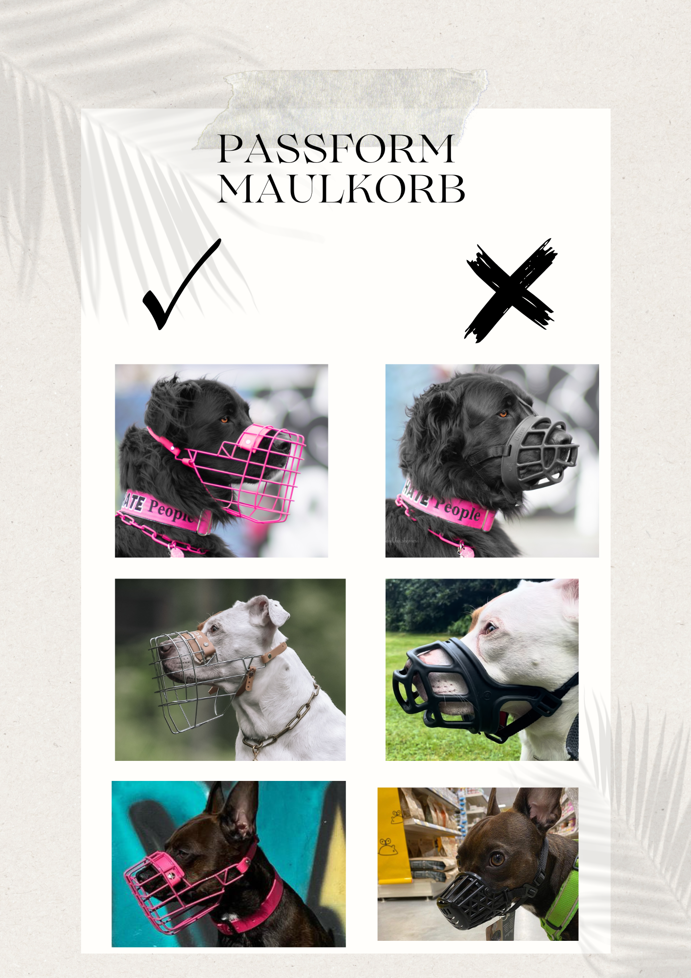 Kompetente Maulkorbberatung vor Ort für die besten Lösungen für Ihren Hund.