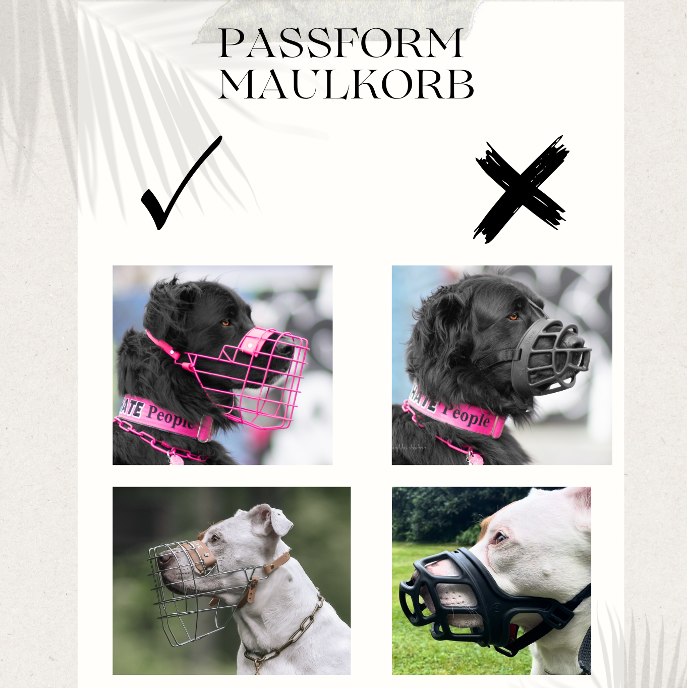 Kompetente Maulkorbberatung vor Ort für die besten Lösungen für Ihren Hund.