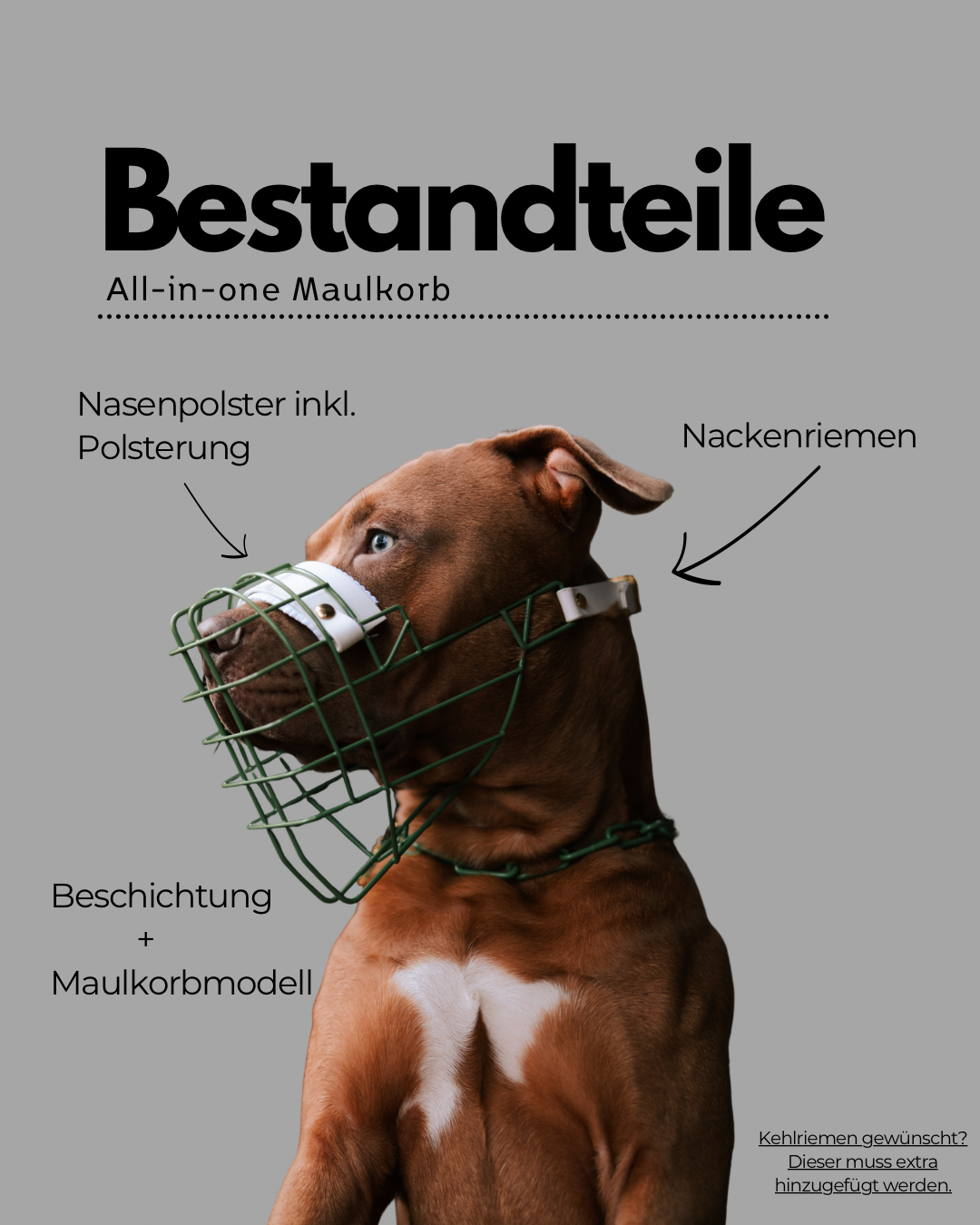 „All in one“ Maulkorb