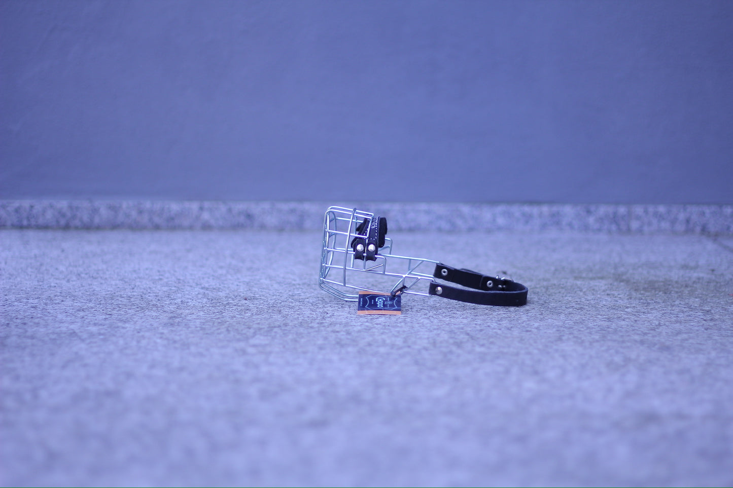 Muzzle models
