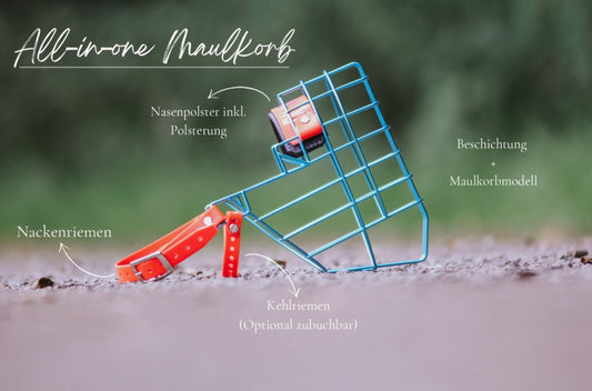 „All in one“ Maulkorb