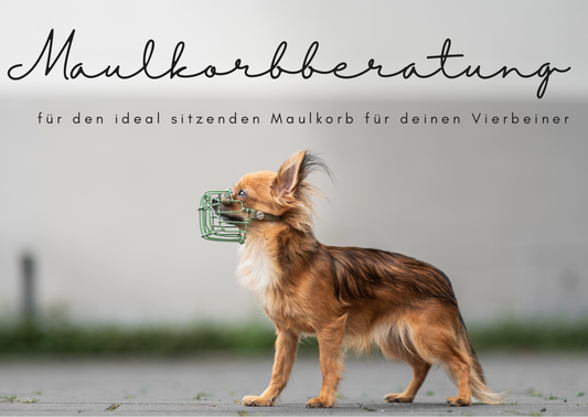 Maulkorbberatung (online)