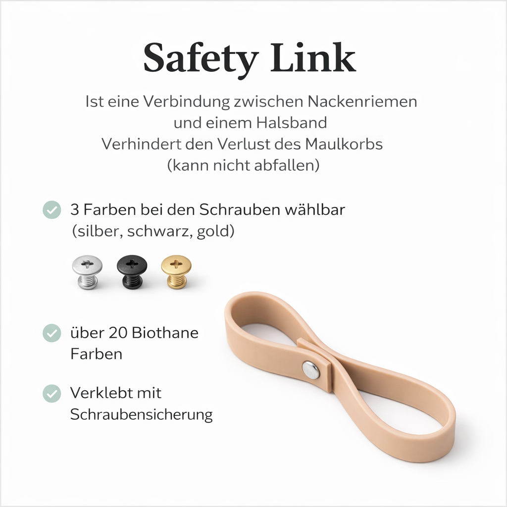 Safety link