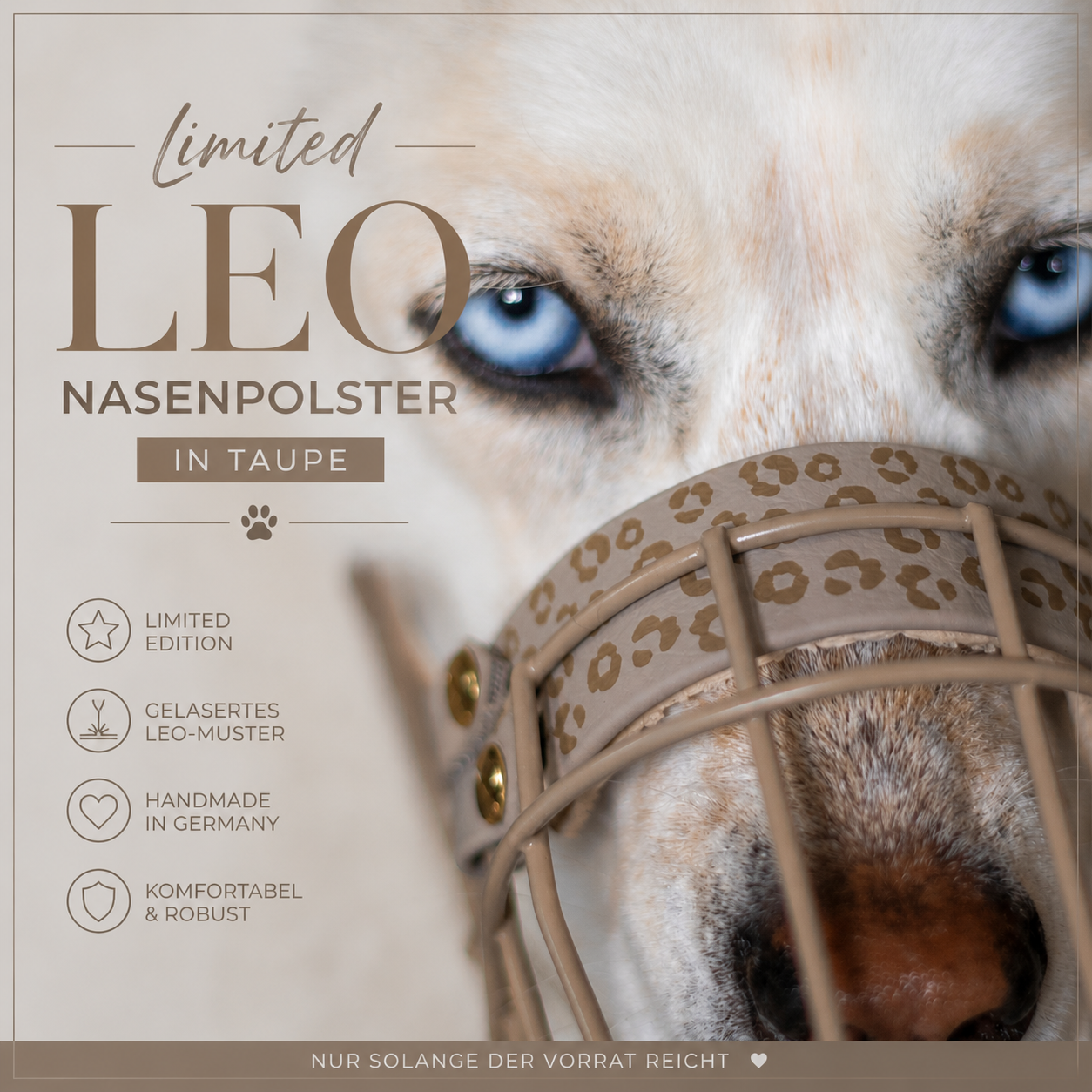 LIMITED LEO NASENPOLSTER – TAUPE