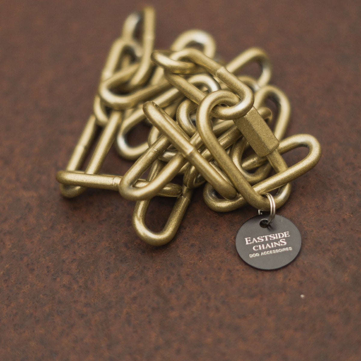 Langgliedrige Eastside Chain in Gold