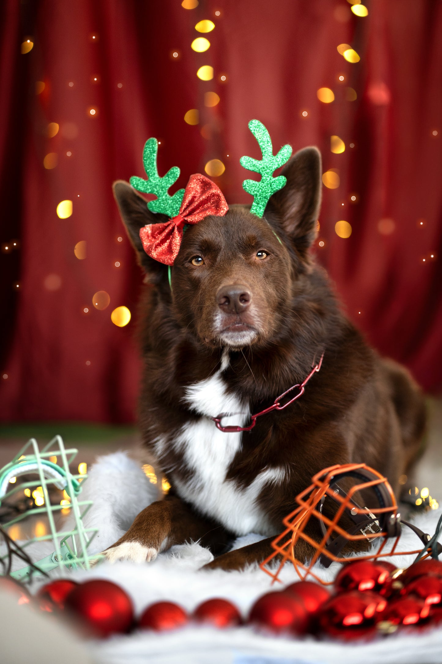 Christmas Shopping 20.12. 12-17 Uhr