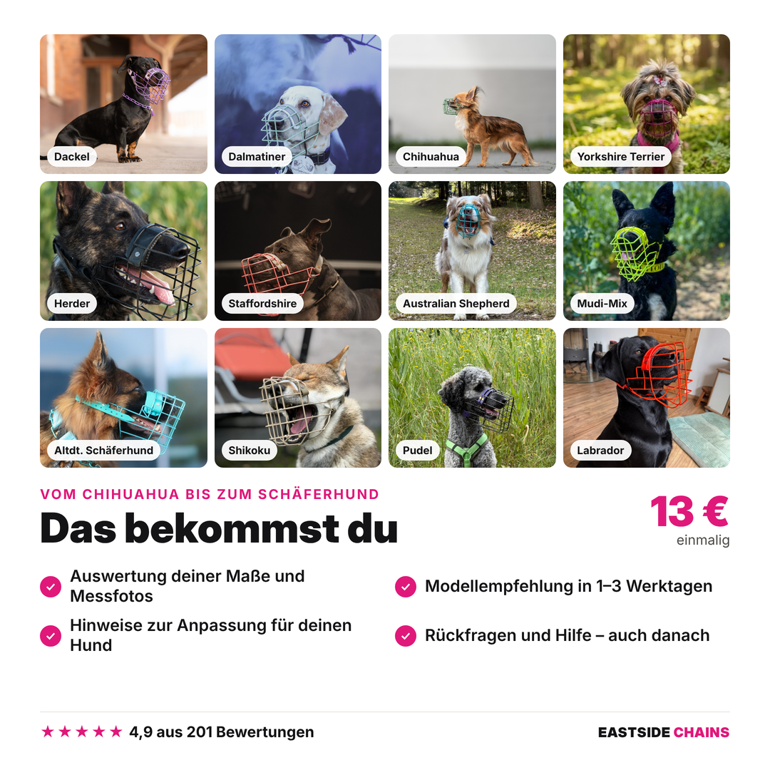 Maulkorbberatung (online)