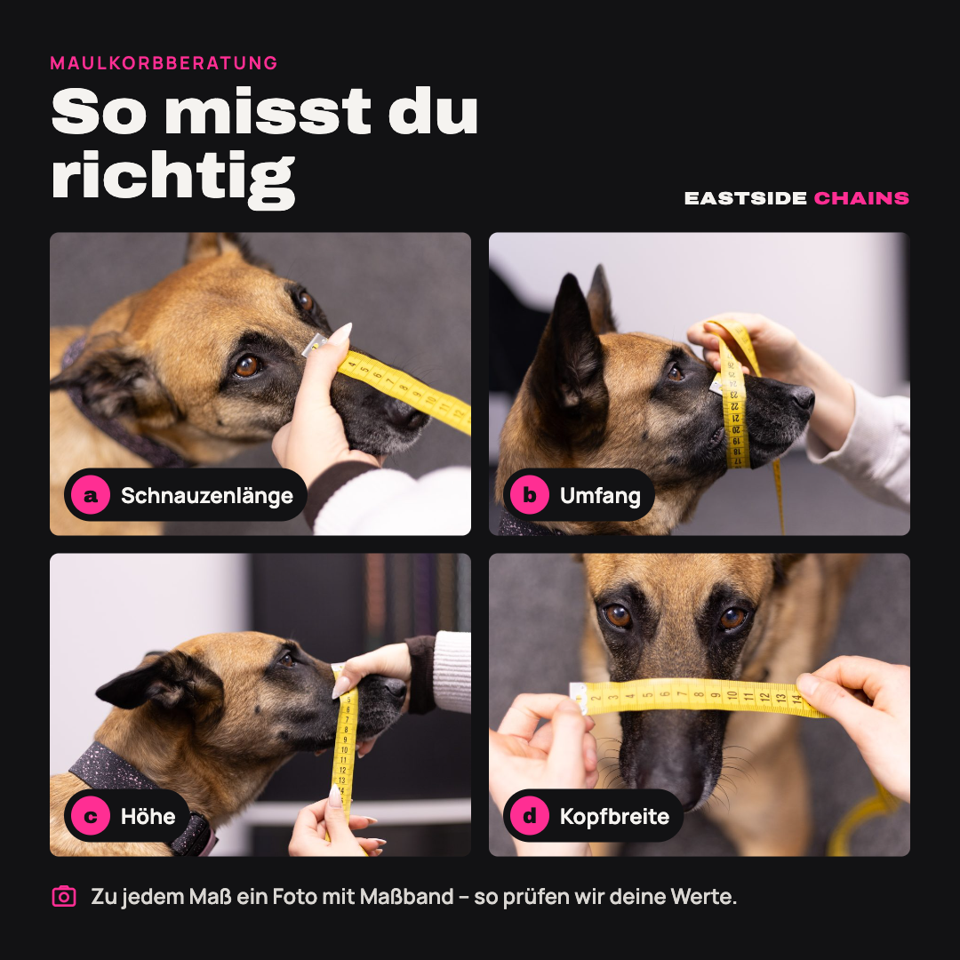 Maulkorbberatung (online)