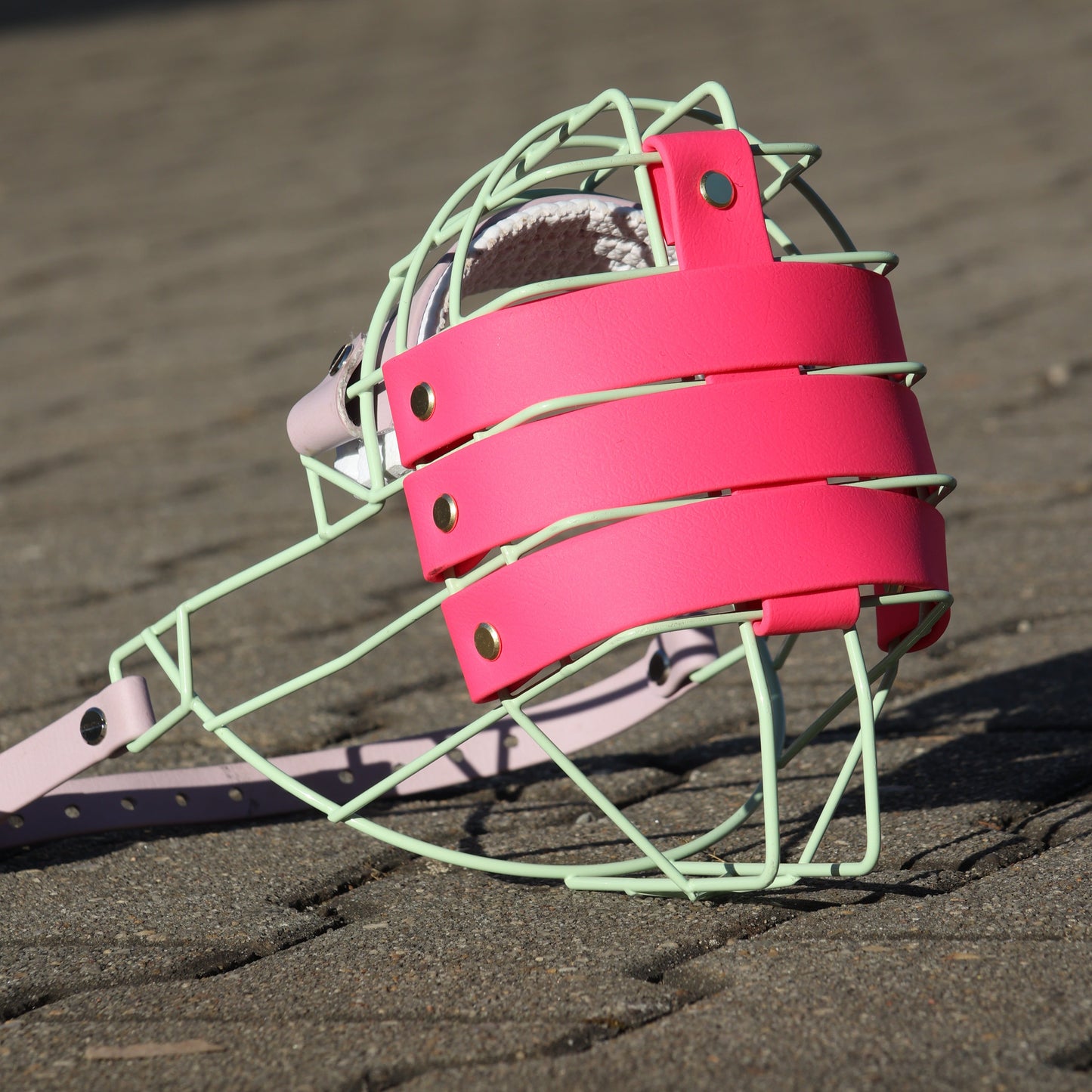 Fressschutz Biothane