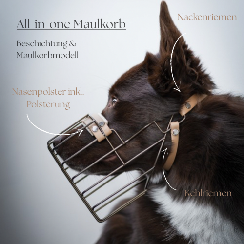 „All in one“ Maulkorb