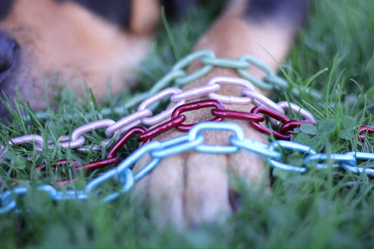 Short -part powder -coated chain