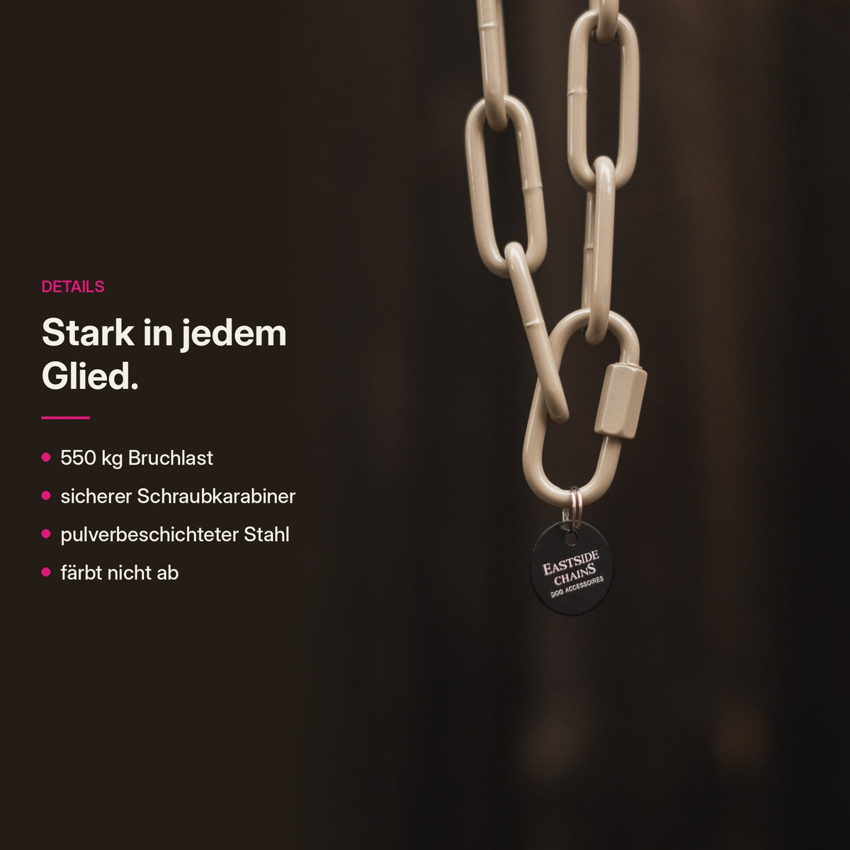 Langgliedrige Kette Detail – 550 kg Bruchlast, Schraubkarabiner, pulverbeschichteter Stahl